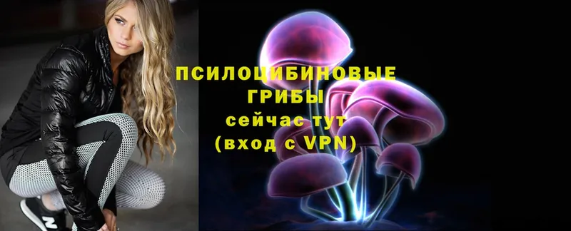 Галлюциногенные грибы Psilocybe  KRAKEN вход  Горячий Ключ  даркнет состав  где купить наркотик 